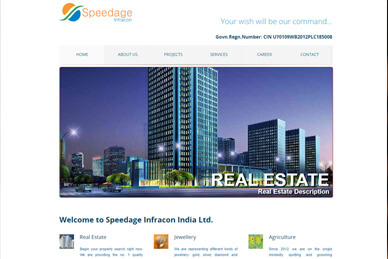 speedage-infra.com